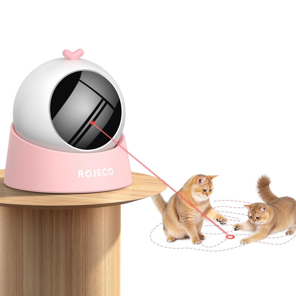 ROJECO Auto Laser Cat Toy demonstrates random motion tracking for engaging indoor play.