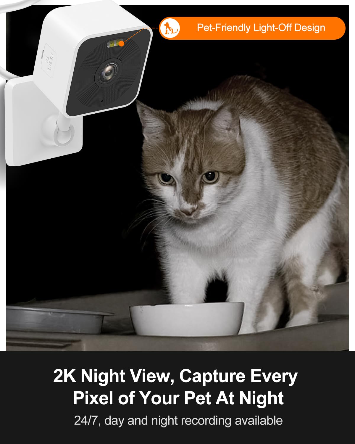 Rolimate night vision view shows clear details in darkness for nocturnal checking.