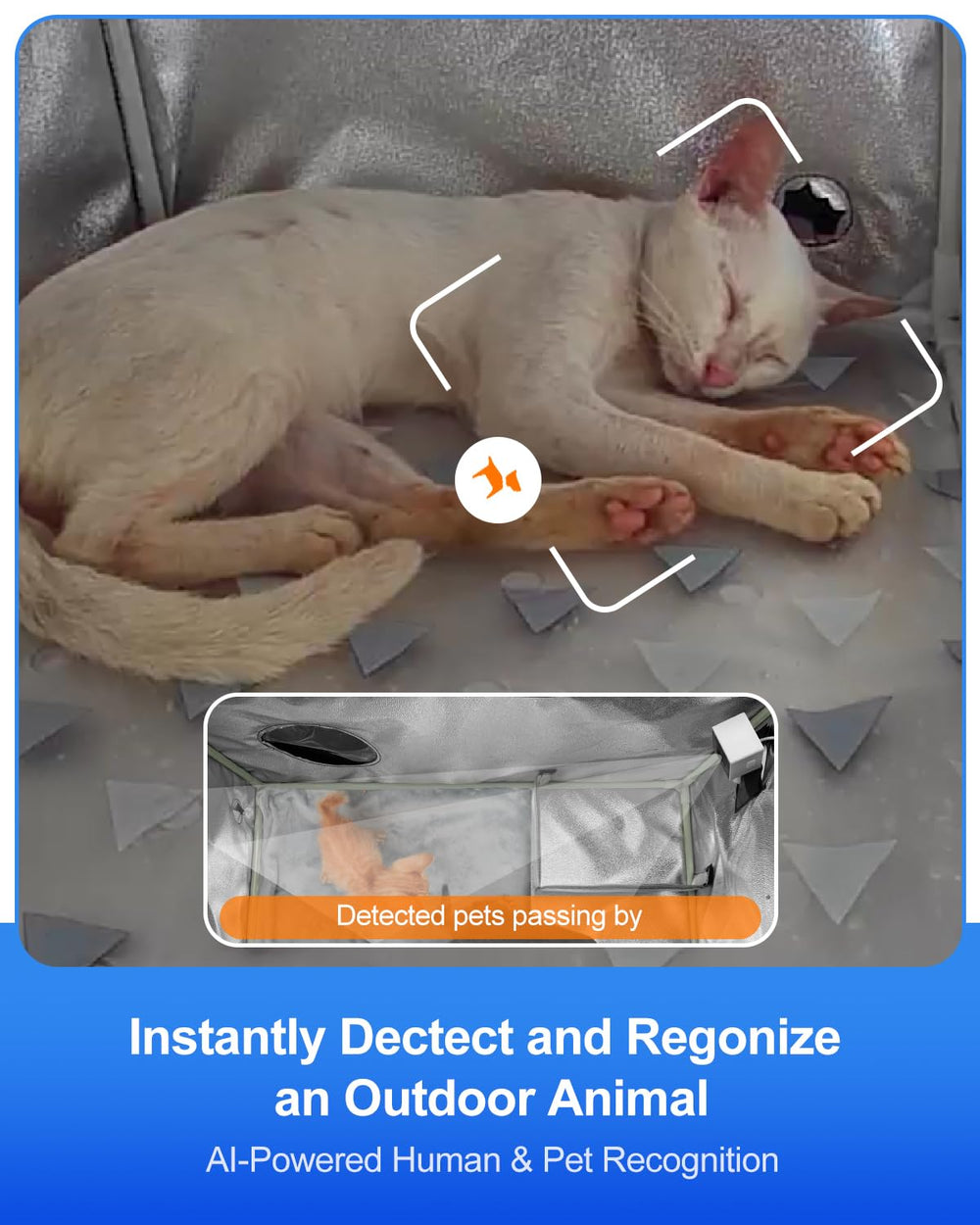 Rolimate two-way audio lets you comfort your cat remotely with real-time voice.