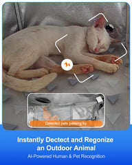 Rolimate two-way audio lets you comfort your cat remotely with real-time voice.