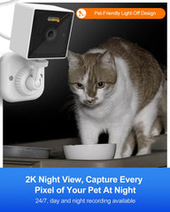 Rolimate smart pet camera night vision reveals nighttime cat activity