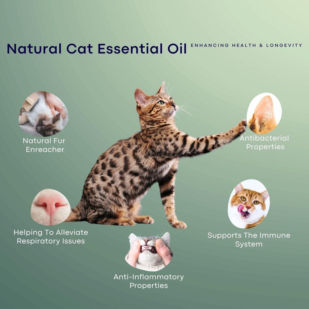 ROLLERPAWSTER lavender-oil-bottle with collar promotes soothing aromatherapy at home.