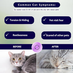 ROLLERPAWSTER packaging-box highlights vet-approved safety and easy setup for cat owners.