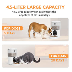 Romiromi night vision monitoring: clear low-light pet visibility.
