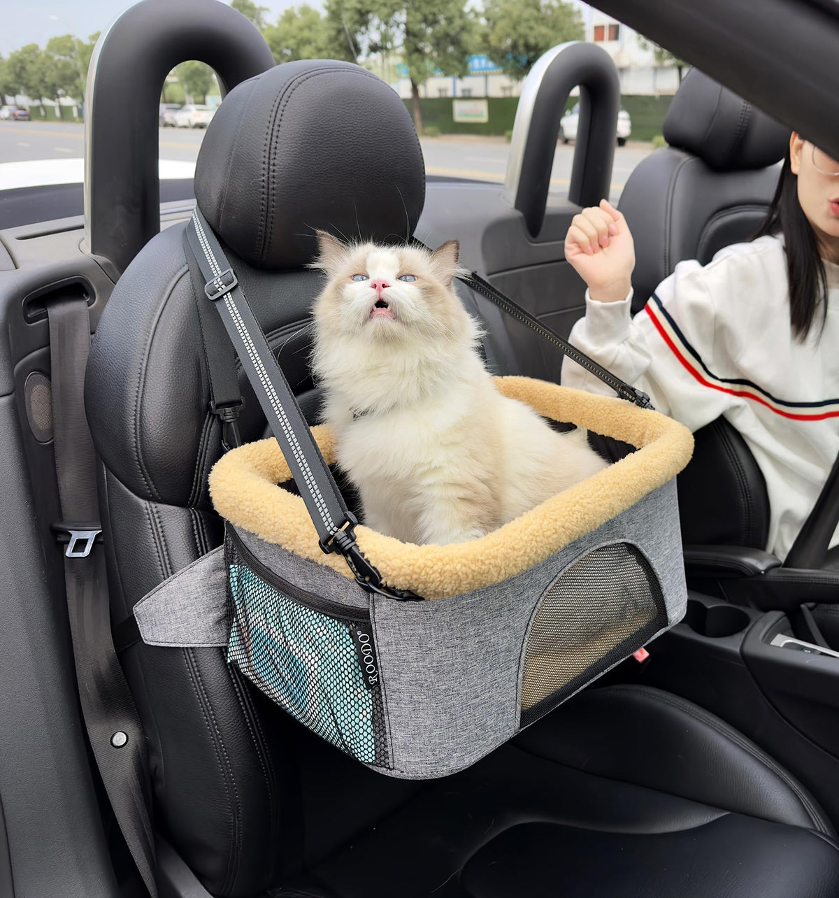 ROODO Deluxe Dog Booster Seat frame shows sturdy height‑adjustable support for safe travel