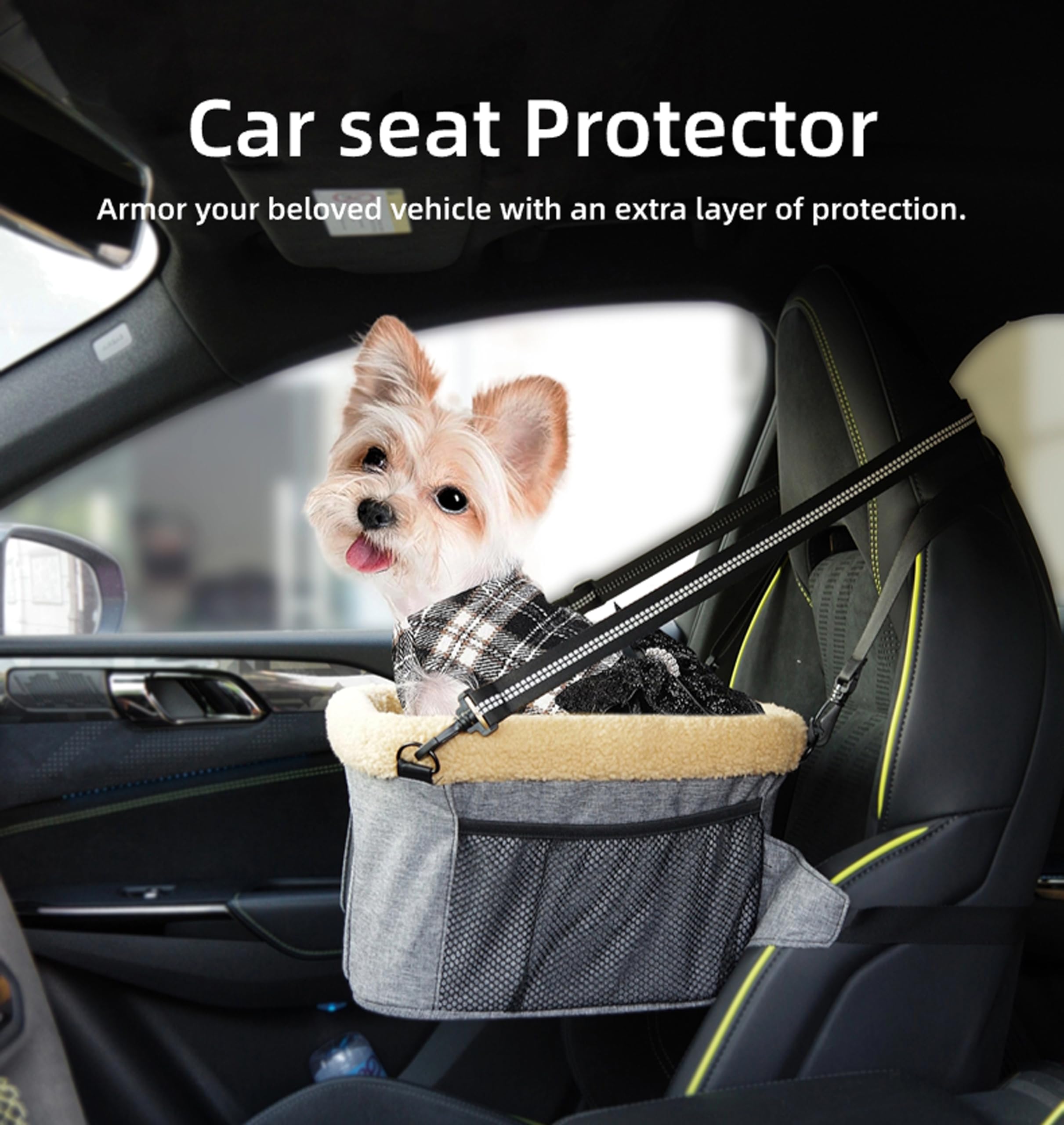 ROODO safety buckle secures the pet to the booster seat during trips