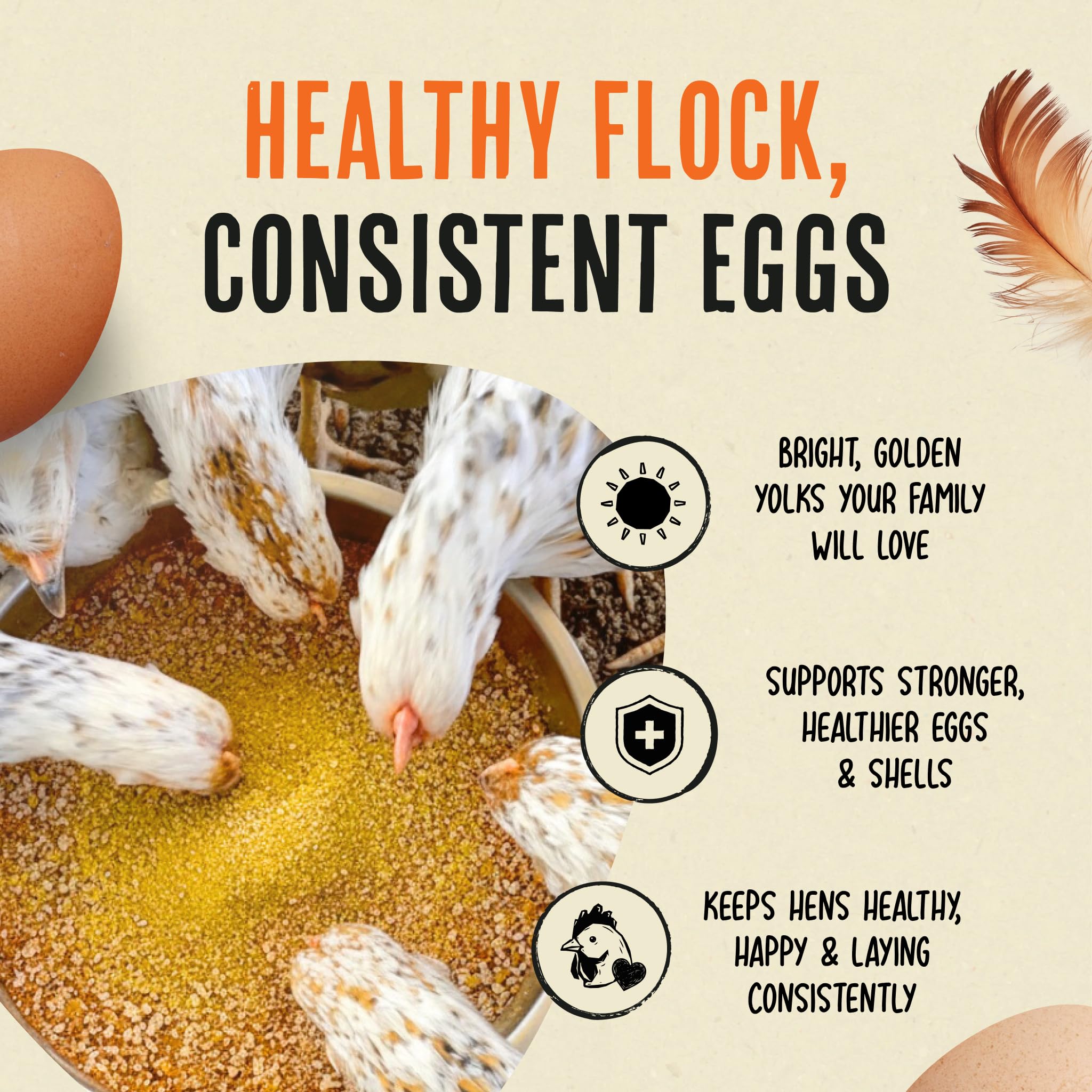 Roosty's Gold Dust strengthens shells with calcium-rich nutrients.