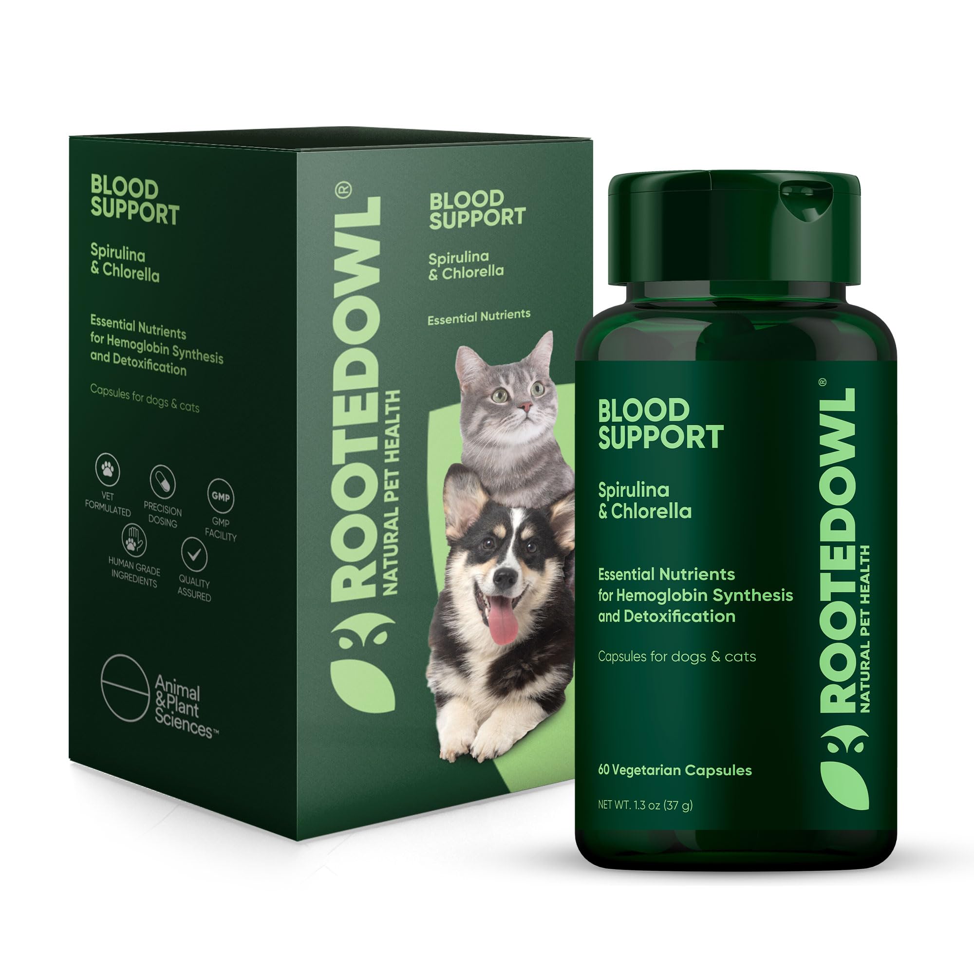 Rooted Owl Blood Support bottle front showing vegan capsules for immune-support in pets.