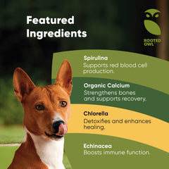 Rooted Owl Blood Support packaging display highlighting vegan formula for pets of all ages.