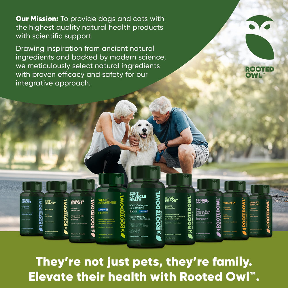 Rooted Owl Blood Support organic calcium element highlights bone strength benefits.