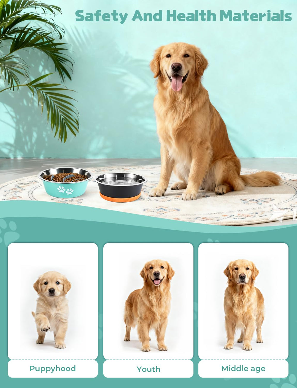 RooXchowla color options green orange black brighten kitchen setup and crate mealtime