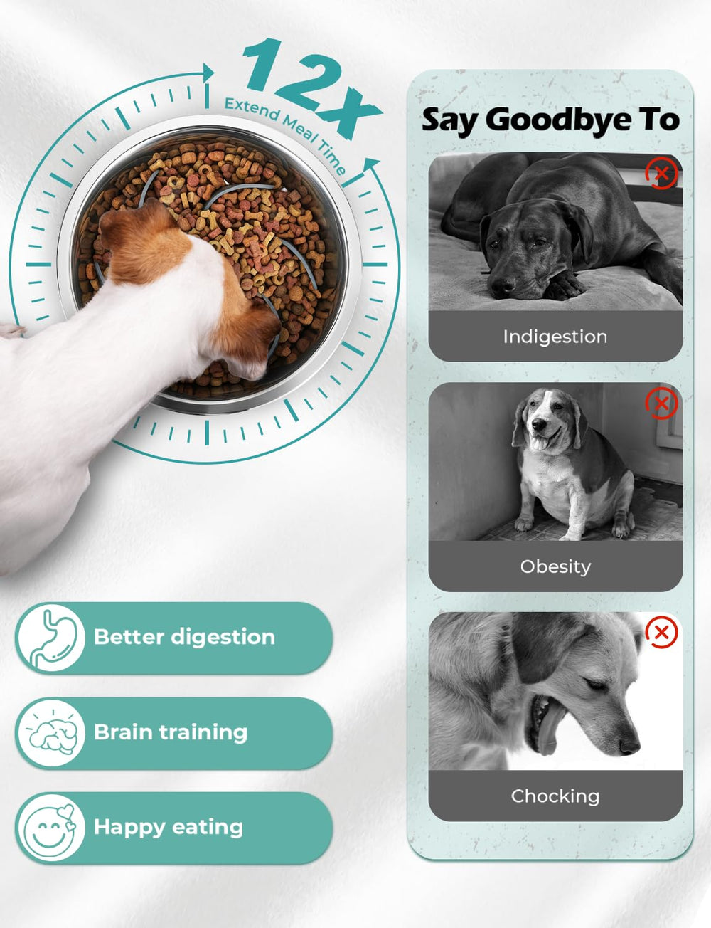 RooXchowla dual bowls for eating and drinking in one setup