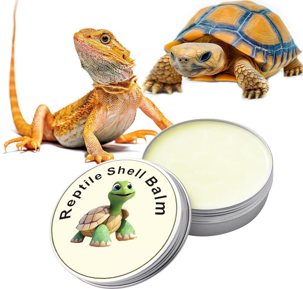 ropto Reptile Shell Balm tortoise in tank with moisturized shell