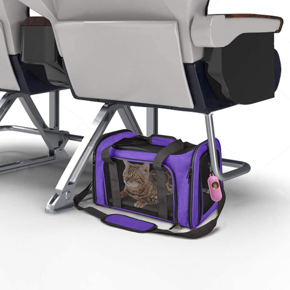 ROSEBB cat carrier 20x13x13 demonstrates size guidance for proper fit.