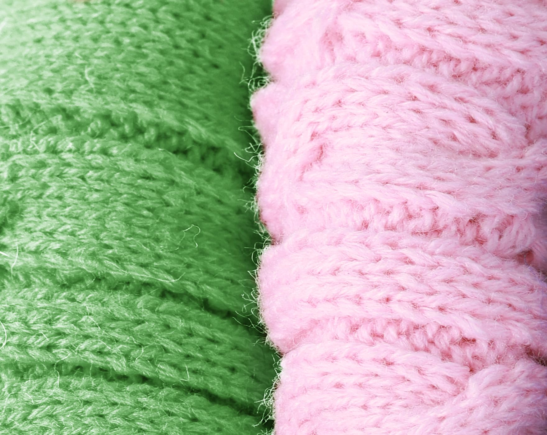 Roseelk stretch-knit fabric on dog demonstrates easy movement.