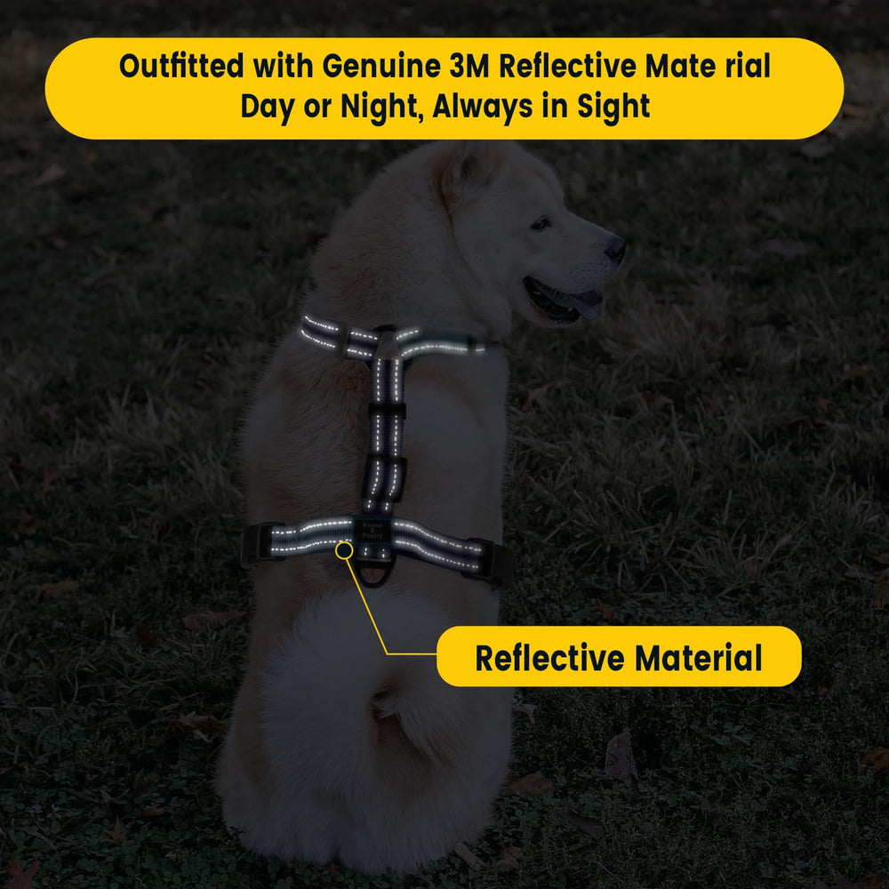 Roses&Poetry harness padded handle offers comfortable control during sessions.