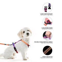 Roses&Poetry Mistyrose harness back-attachment point aids command training with comfortable back placement.