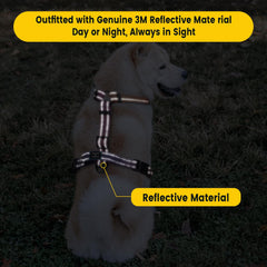Roses&Poetry Mistyrose XS reflective material boosts nighttime visibility.