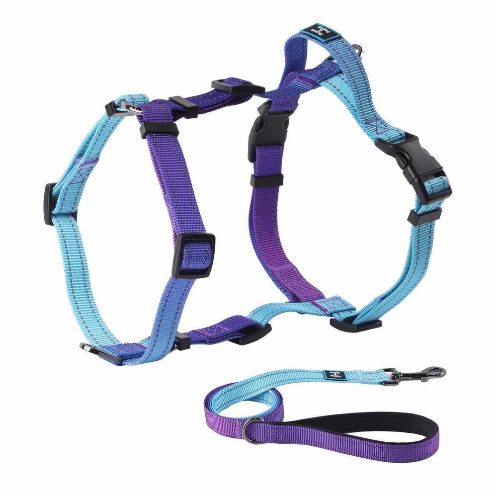 Roses&Poetry puppy harness back-attachment for secure daily walks.