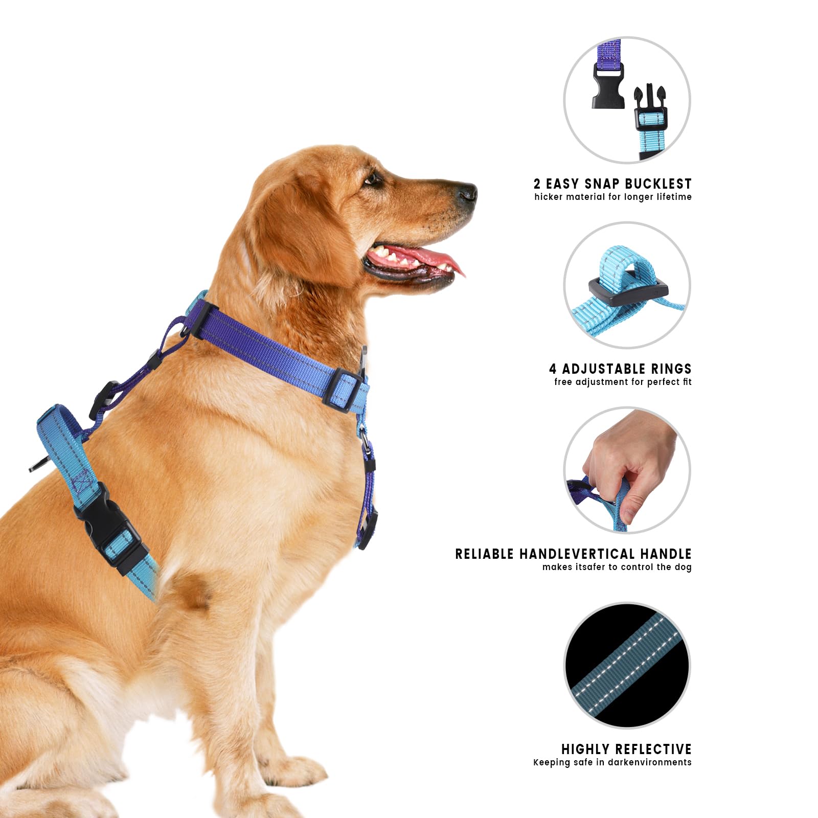 Roses&Poetry puppy harness front-attachment ideal for training and guidance.