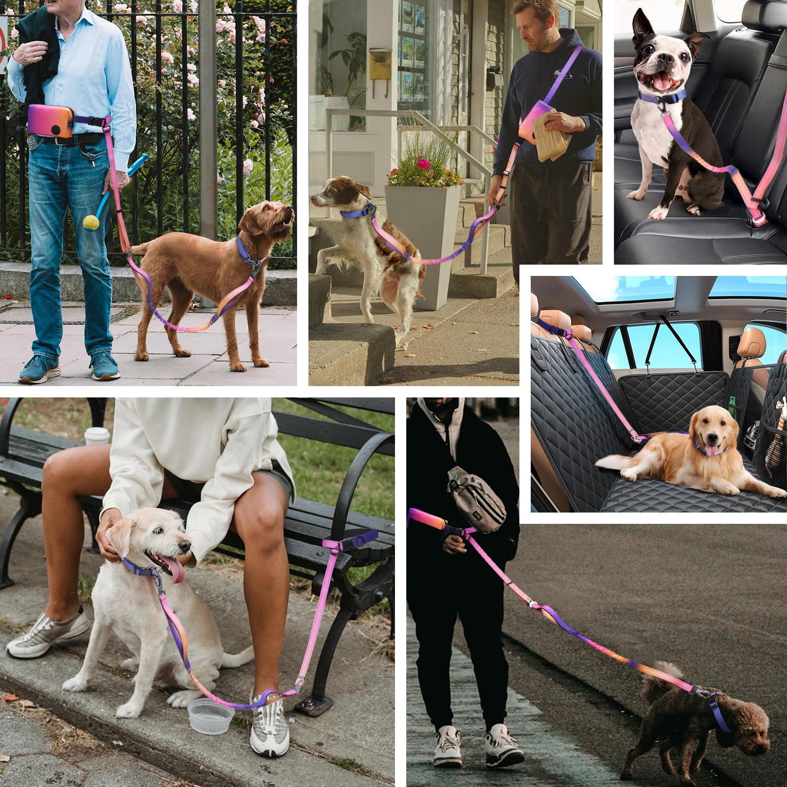 Roses&Poetry heavy-duty leash for medium to large breeds during everyday adventures