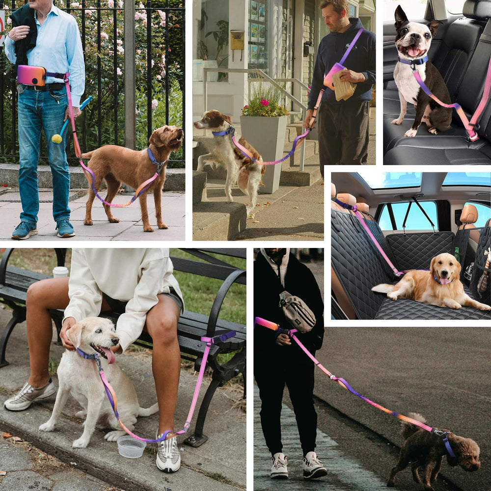Roses&Poetry heavy-duty leash for medium to large breeds during everyday adventures