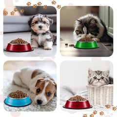 Roshtia anti-slip silicone base close-up, keeps bowls steady during feeding.
