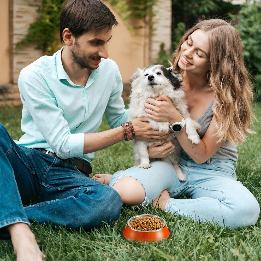 Roshtia durable stainless steel bowls, suitable for dry kibble and wet food.