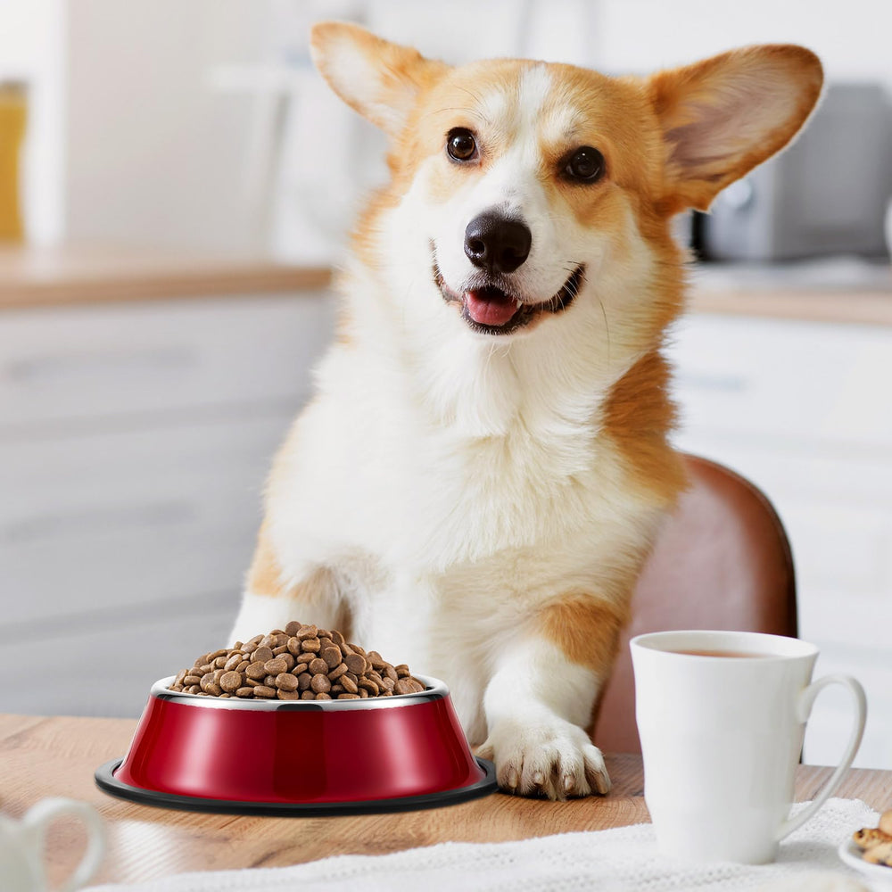 Roshtia smooth-rim bowls close-up, gentle on pets' tongues.