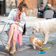 Roshtia stackable pet dishes, space-saving design for clutter-free kitchen.