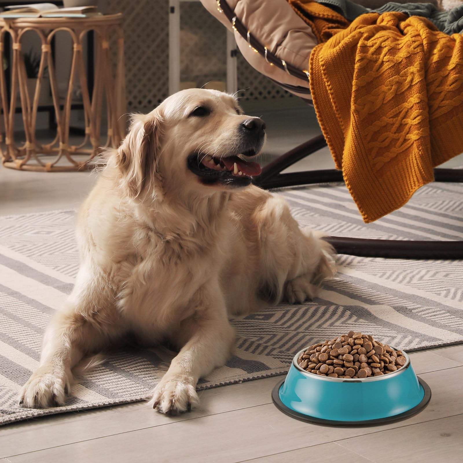 Roshtia stackable dog bowls save space for small kitchens.