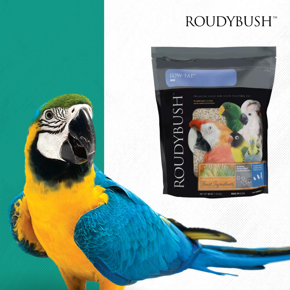 Roudybush adult bird and chick feeding flexibility in daily routine