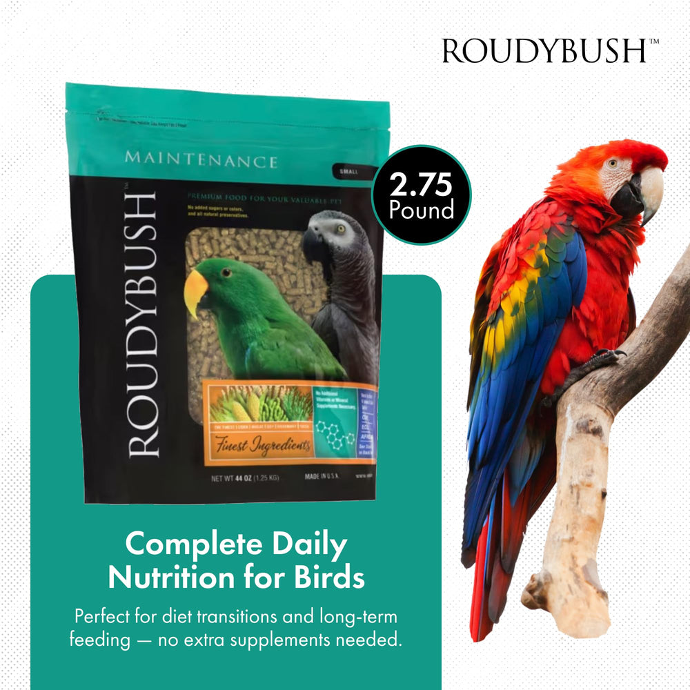 Roudybush Daily Maintenance bag closeup highlights high-quality ingredients and ready-to-feed convenience.