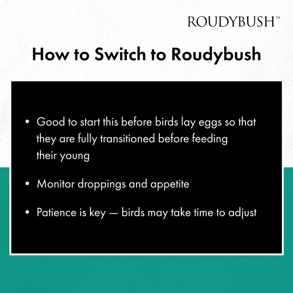 Roudybush Daily Maintenance container lid shows freshness and easy reseal.
