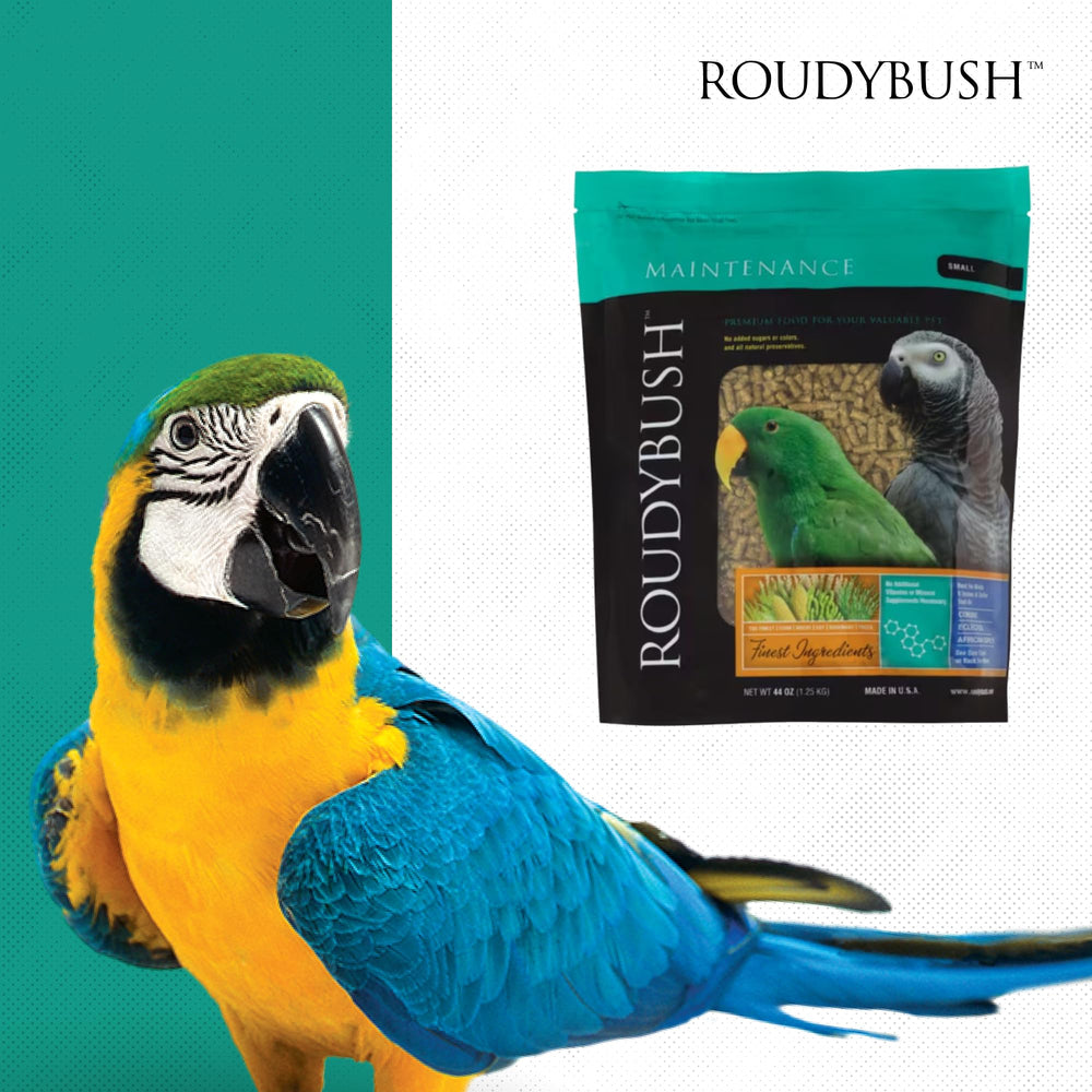 Roudybush Daily Maintenance storage tips image suggests storing in a cool, dry place.