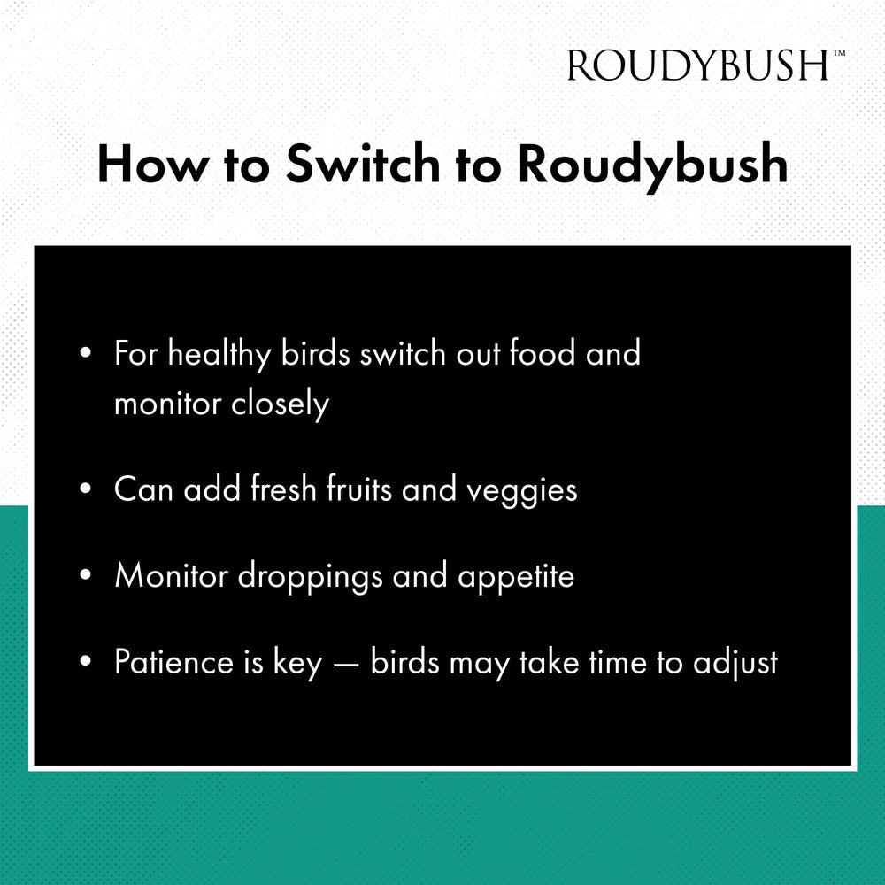 RoudyBush Daily Maintenance Bird Food transition image suggesting a seamless switch without extra supplements
