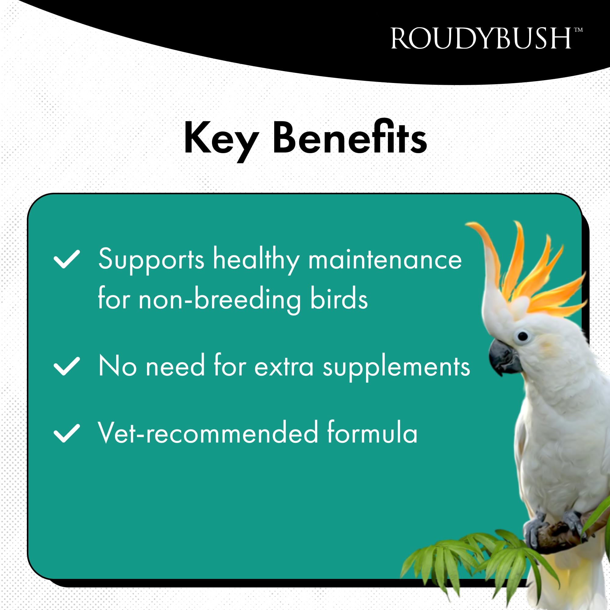 Roudybush transition pellets ideal for swapping foods