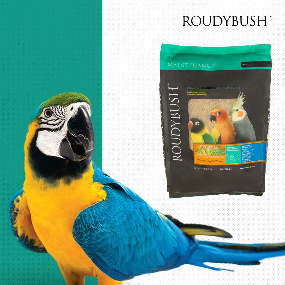 Roudybush daily-maintenance supports smooth transition without extra supplements.