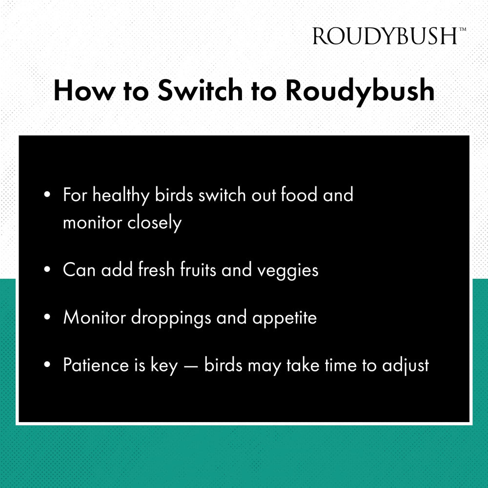 Roudybush blend ingredients closeup highlights corn, wheat, soy and vitamins.