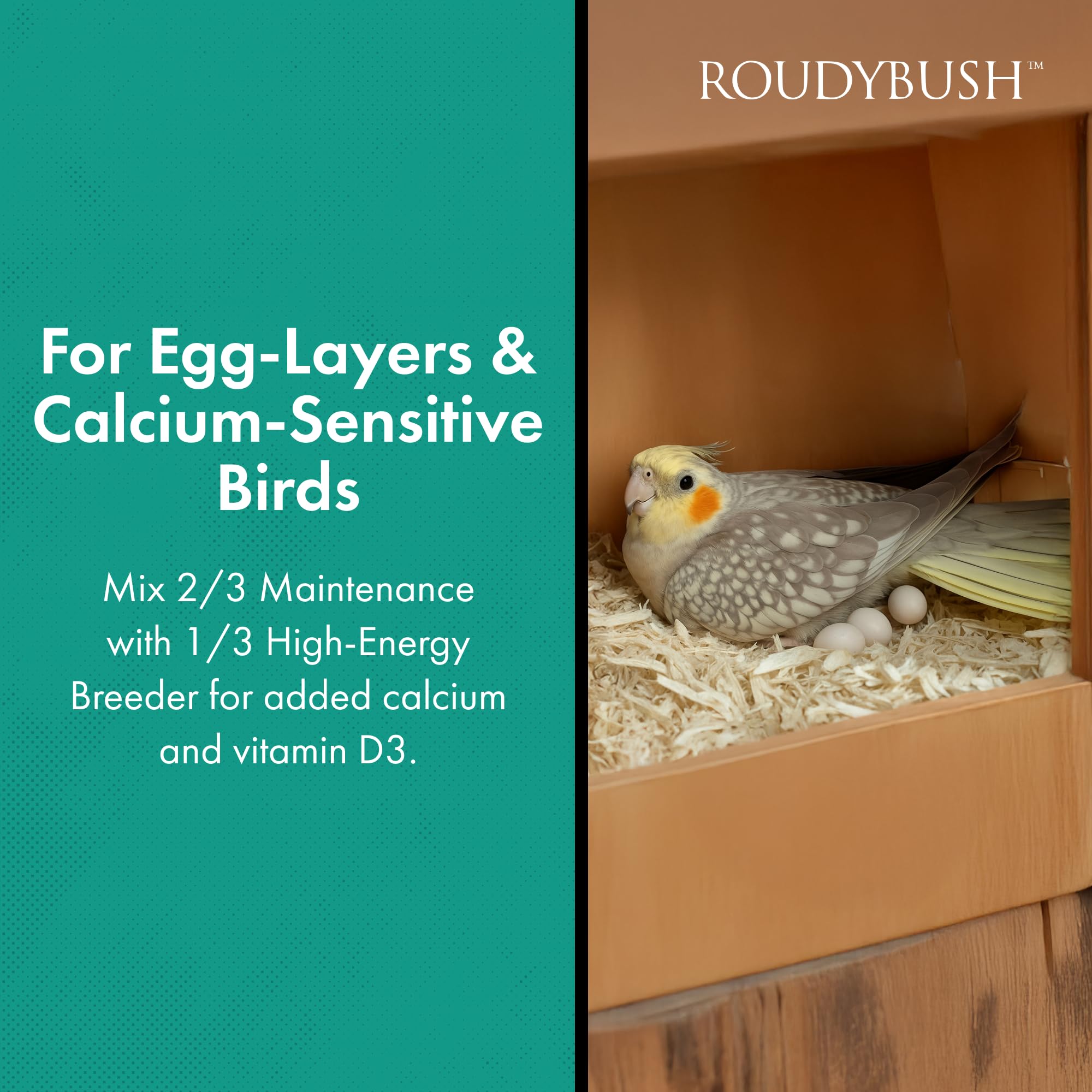 Roudybush pellets in serving dish demonstrating reduced waste