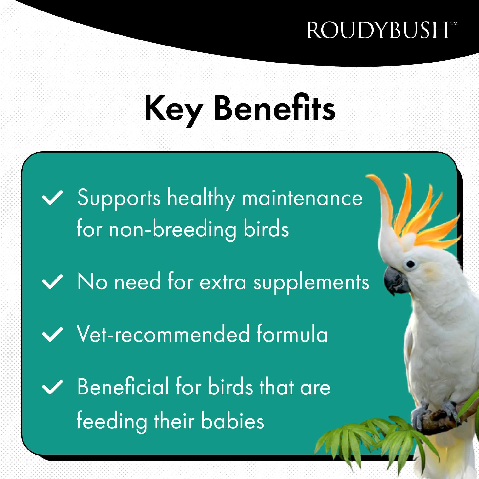 RoudyBush Senior Diet ingredients corn-wheat-soy visible for balanced nutrition