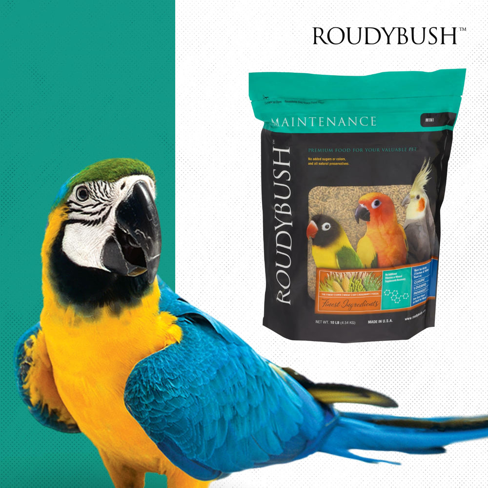 Roudybush serving-ideas image suggests practical mealtime routines for households.