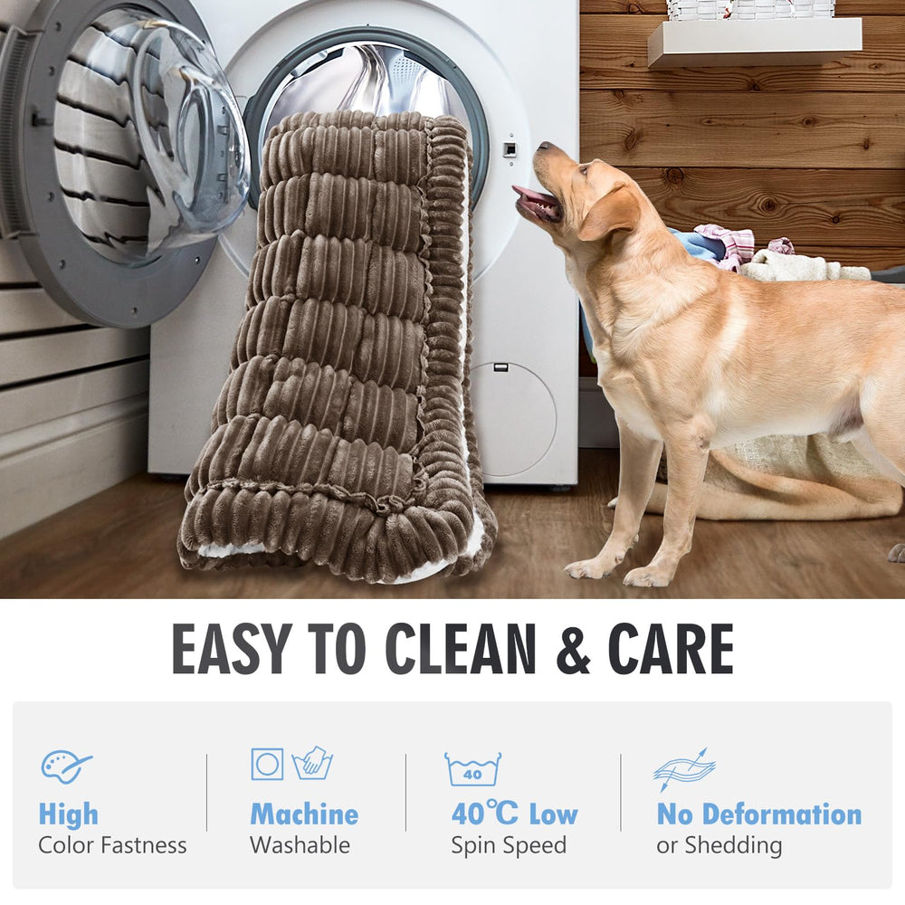 ROUWINNE dog bed expands to fluffy comfort within 24 hours