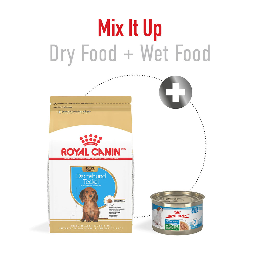Royal Canin Dachshund Puppy bone and joint support visual illustrating calcium and phosphorus balance