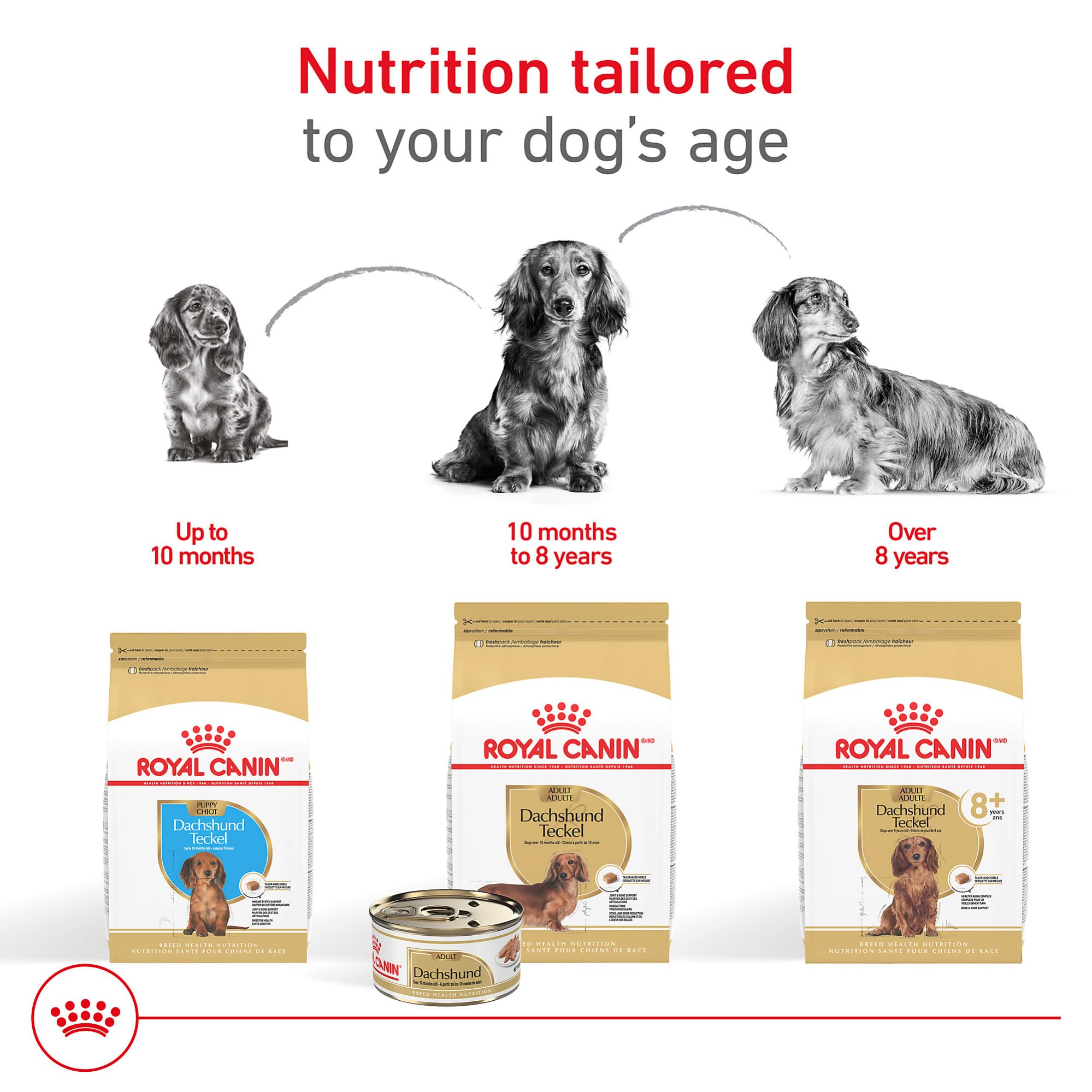 Royal Canin Dachshund Puppy digestive health chart focusing on digestibility and stool quality