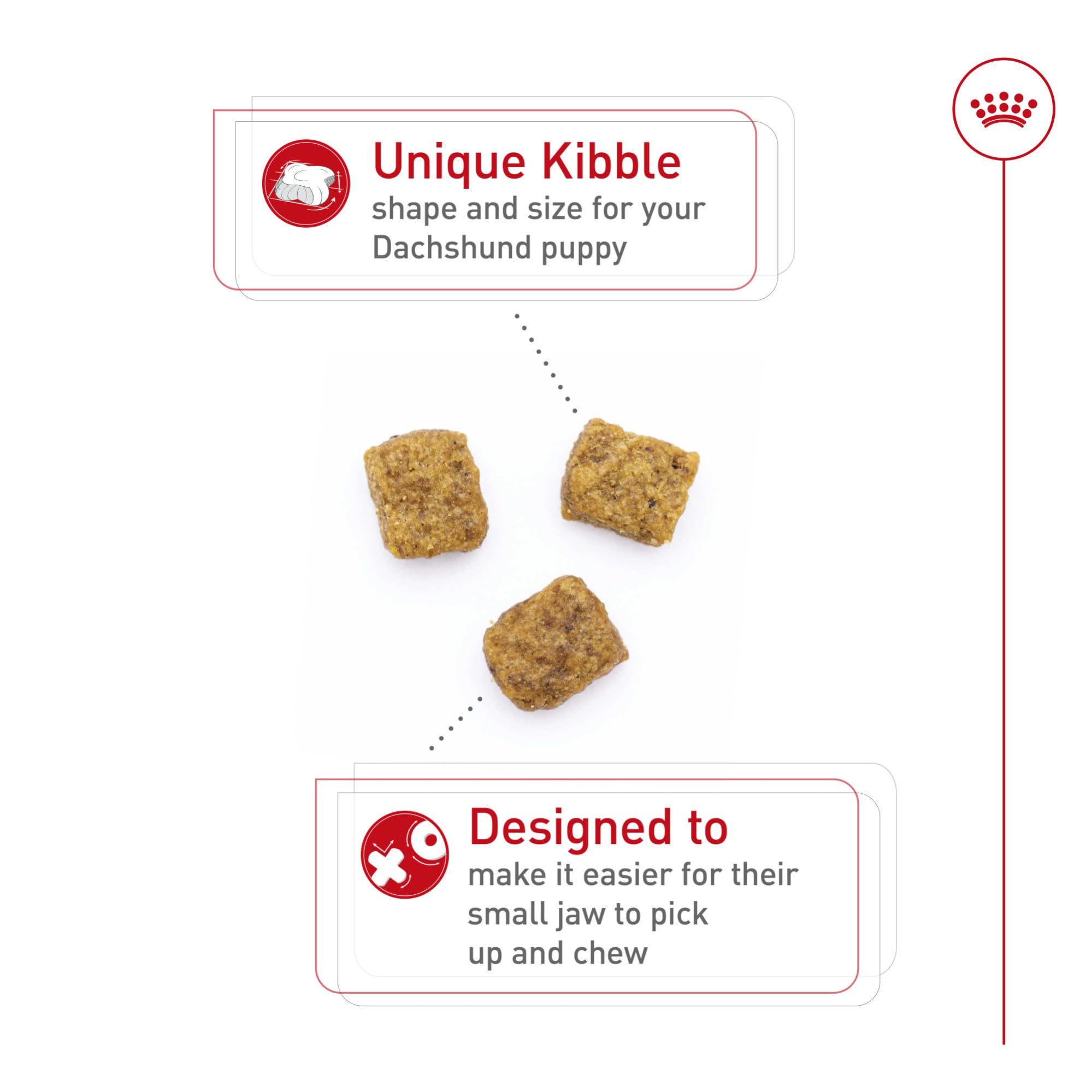 Portion bowl with Royal Canin Dachshund Puppy dry food promoting small-meal portion control