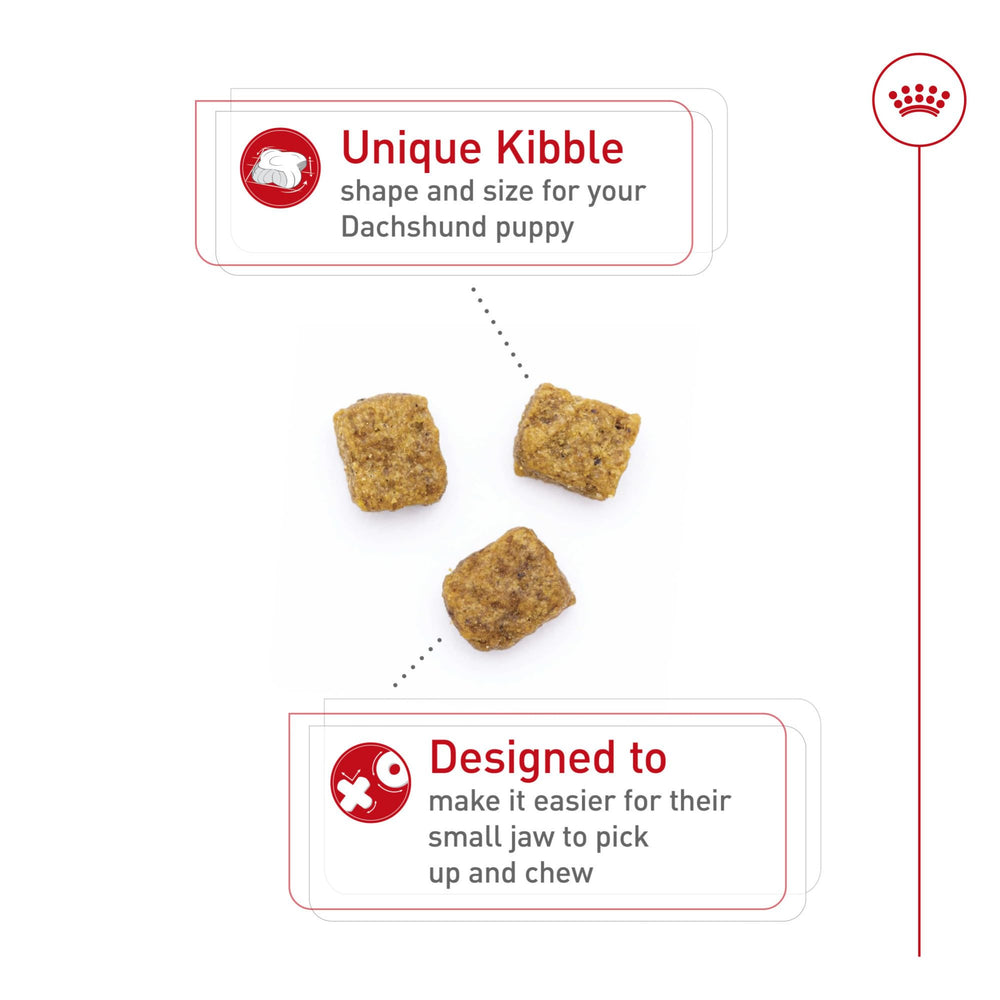 Portion bowl with Royal Canin Dachshund Puppy dry food promoting small-meal portion control