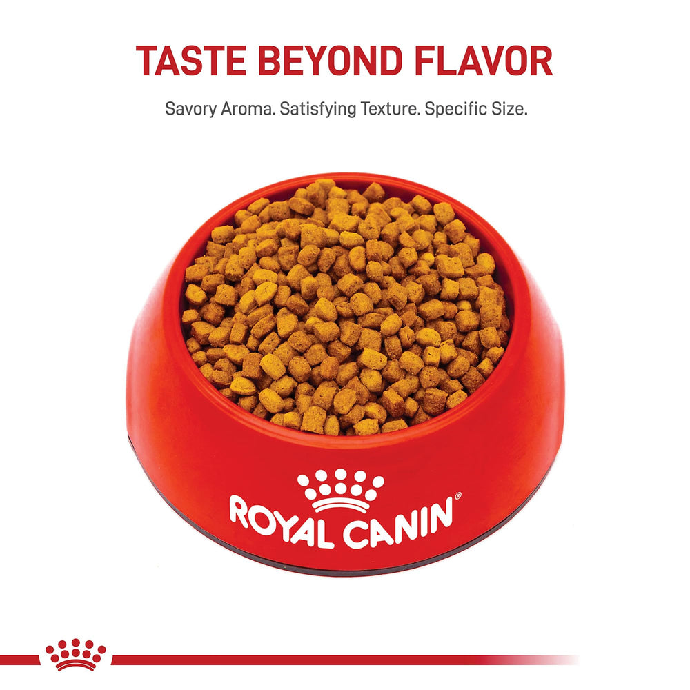 Royal Canin Dachshund Puppy small kibble shape close-up designed for easy pickup