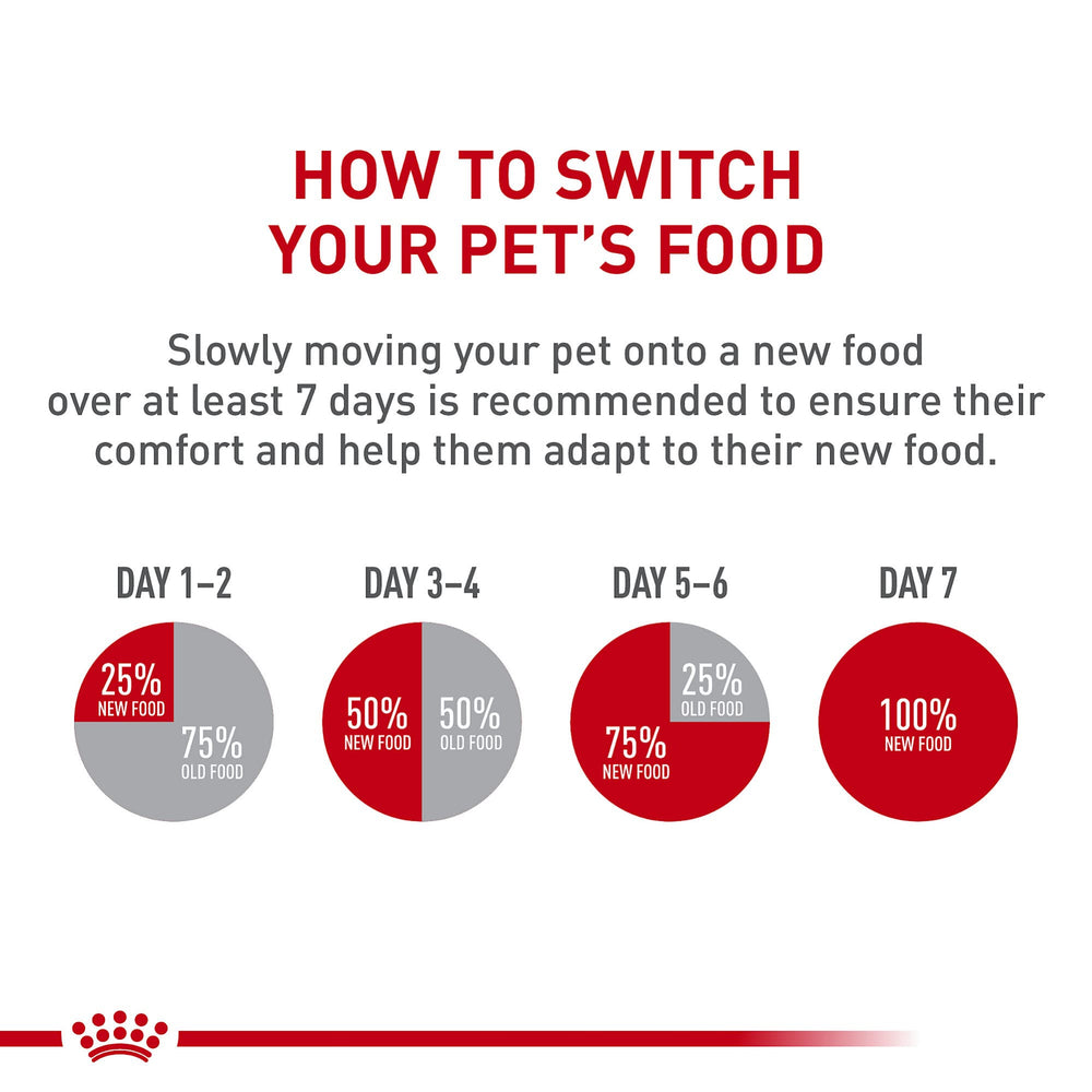 Royal Canin Dachshund Puppy wet food pairing option with dry food