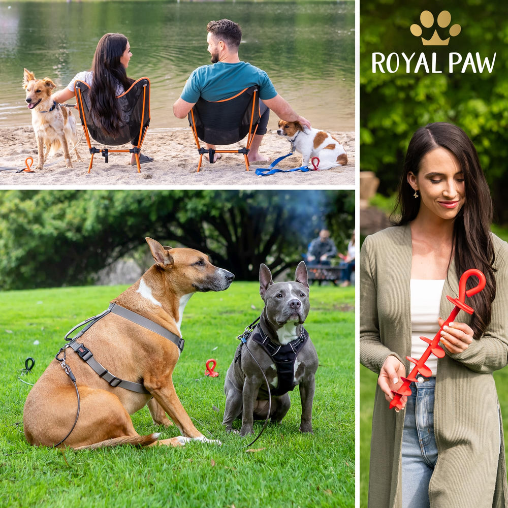Royal Paw tie out stake in backyard garden setup for safe leash anchoring